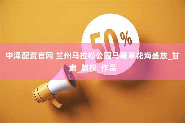 中泽配资官网 兰州马拉松公园马鞭草花海盛放_甘肃_版权_作品