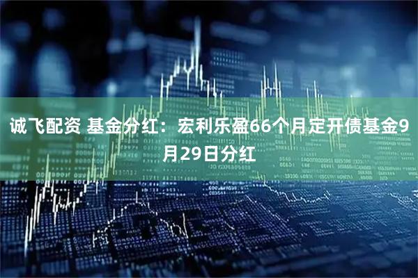 诚飞配资 基金分红：宏利乐盈66个月定开债基金9月29日分红