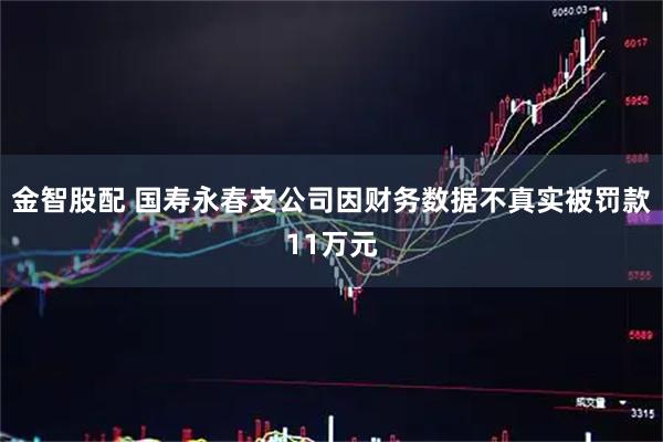 金智股配 国寿永春支公司因财务数据不真实被罚款11万元