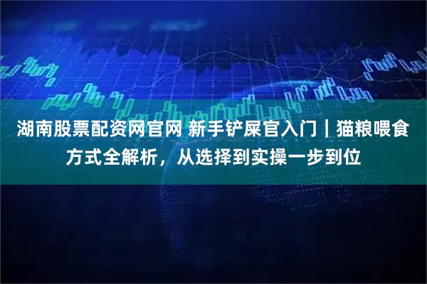 湖南股票配资网官网 新手铲屎官入门｜猫粮喂食方式全解析，从选择到实操一步到位