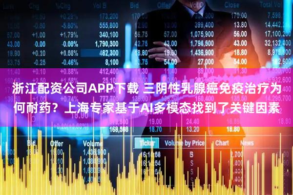 浙江配资公司APP下载 三阴性乳腺癌免疫治疗为何耐药？上海专家基于AI多模态找到了关键因素