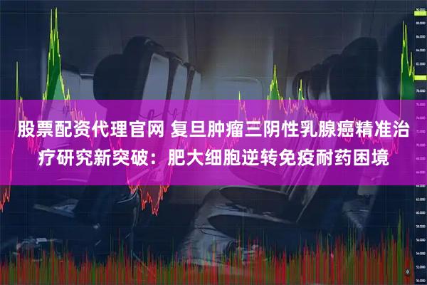 股票配资代理官网 复旦肿瘤三阴性乳腺癌精准治疗研究新突破：肥大细胞逆转免疫耐药困境