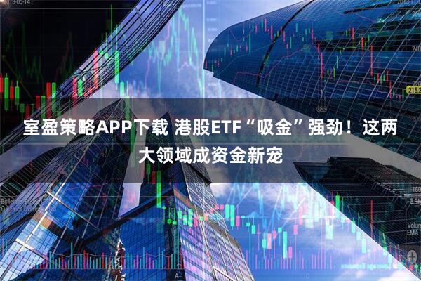 室盈策略APP下载 港股ETF“吸金”强劲！这两大领域成资金新宠