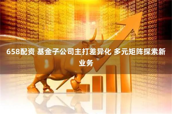 658配资 基金子公司主打差异化 多元矩阵探索新业务